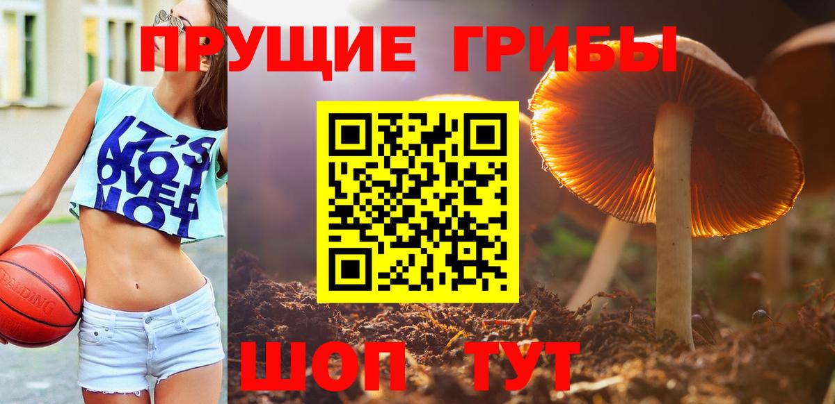 Псилоцибиновые грибы мицелий  купить наркотики цена  Псилоцибиновые грибы мухоморы  Анжеро-Судженск  Вход с VPN 